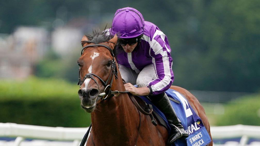 St Mark's Basilica is in line for a thrilling clash in the Irish Champion Stakes on Saturday