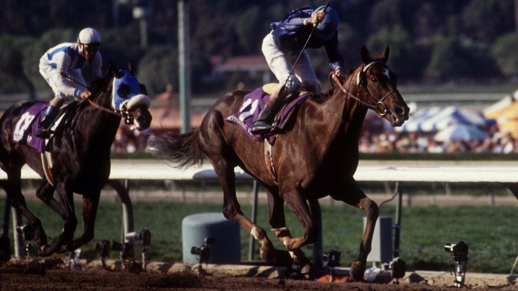Breeders' Cup stunner: the 133-1 chance Arcangues (Jerry Bailey) beats Bertrando to become the longest-priced winner in the event's history in 1993