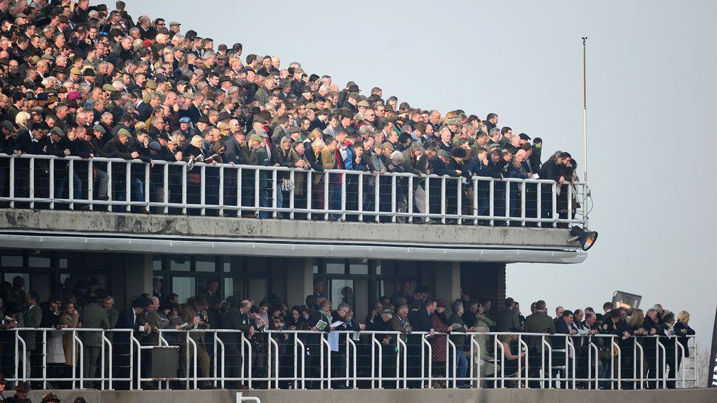 Packed stands at the Cheltenham festival