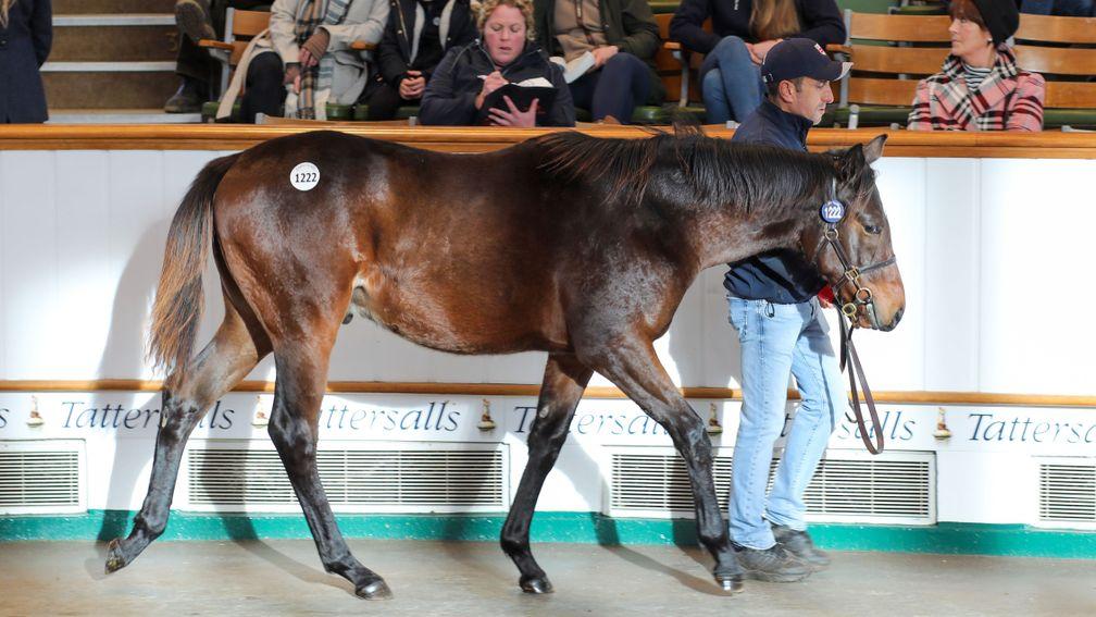 Lot 1,222: Shadwell spent 110,000gns on this Mohaather colt