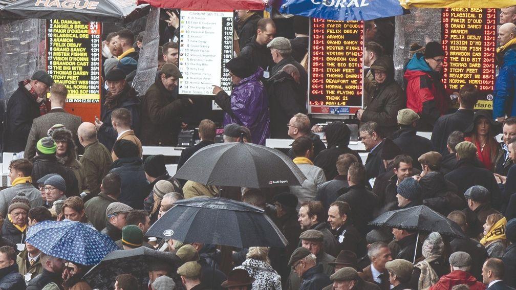 The packed betting ring at last year's Cheltenham Festival