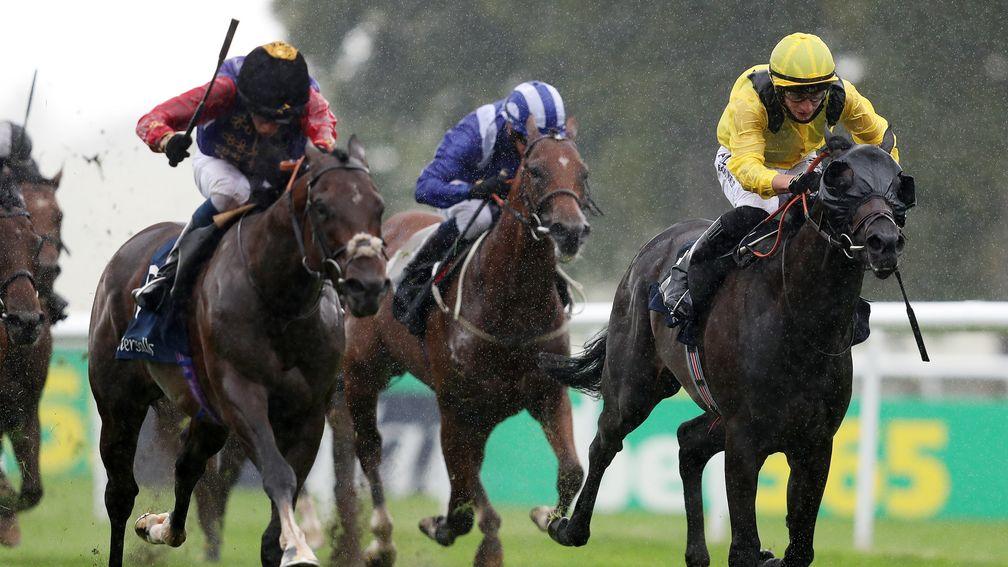 Yzaman (right): finished second to Tactical (left) in the Group 2 July Stakes at Newmarket