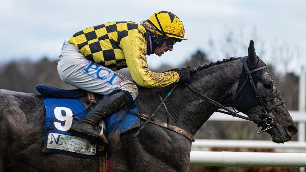 Gaillard Du Mesnil: holds a novice chase entry at Naas