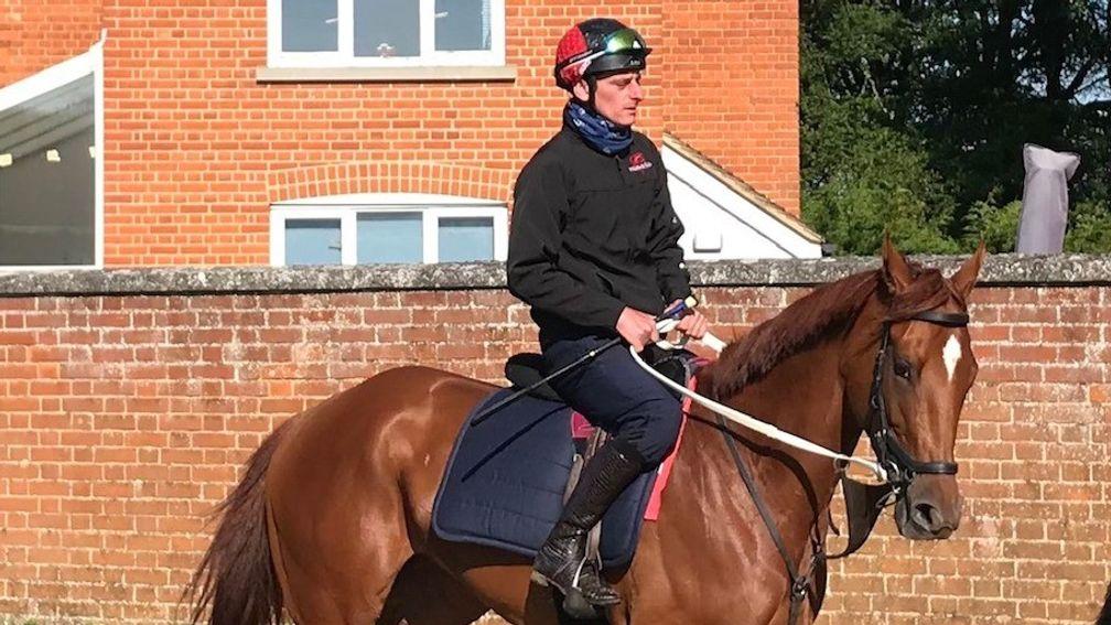 Saffron Beach and Adam Kirby on their way to work on the Limekilns gallops at Newmarket in preparation for Friday's Oaks