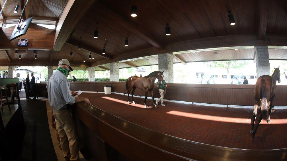 Keeneland's sale runs until the end of this week