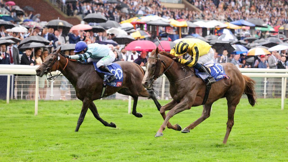 Sonnyboyliston (right) grabs Ebor glory from Quickthorn at York on Saturday