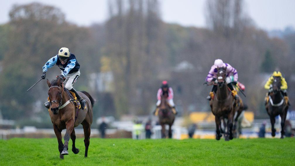 Edwardstone: was the weekend’s most significant scorer in collecting 58.10 points in the Tingle Creek