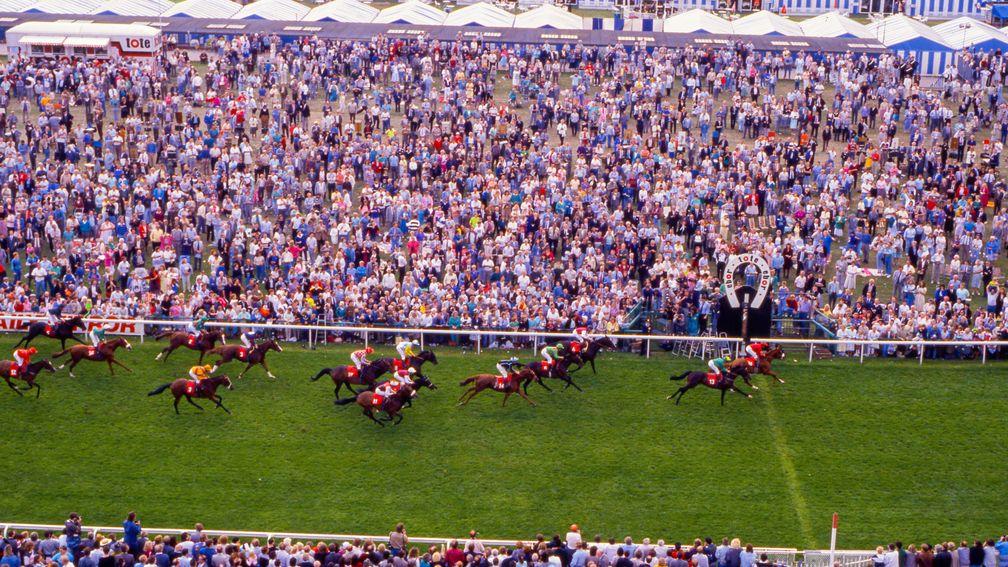 Sapience lands a punt for Jimmy FitzGerald and Sir Peter O’Sullevan in 1989
