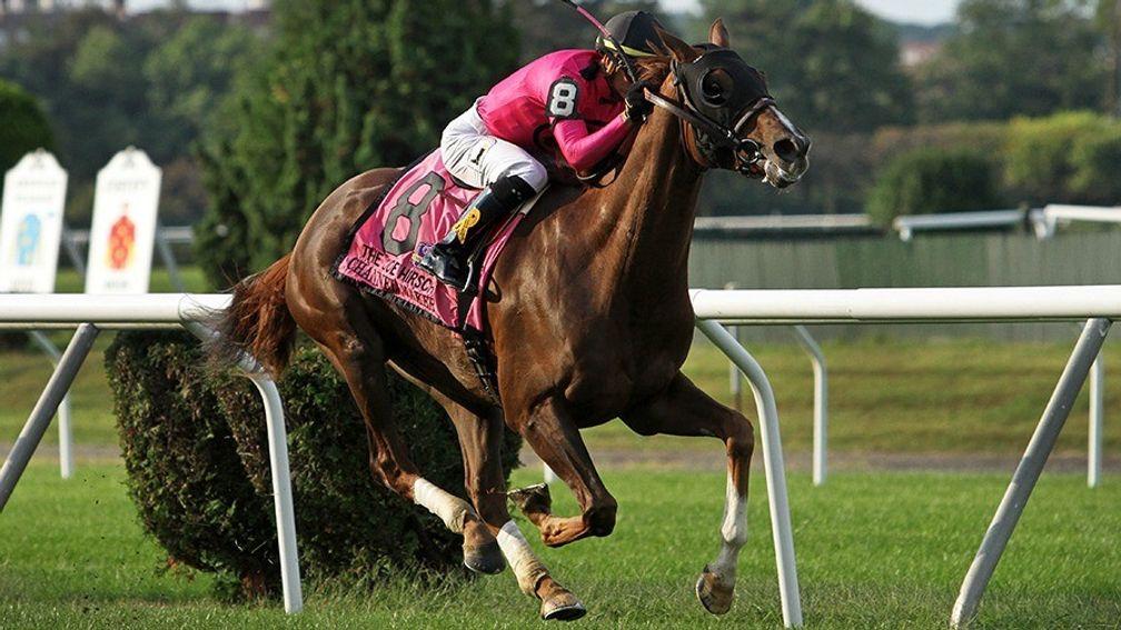 Channel Maker makes all in the Joe Hirsch Turf Classic