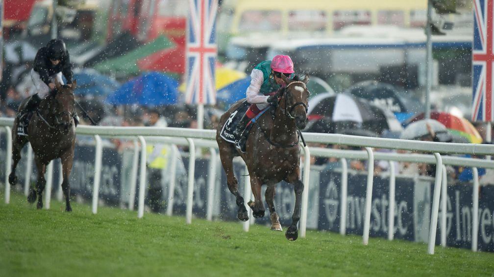 Rhododendron chases Enable home through the heavy rain in the Oaks