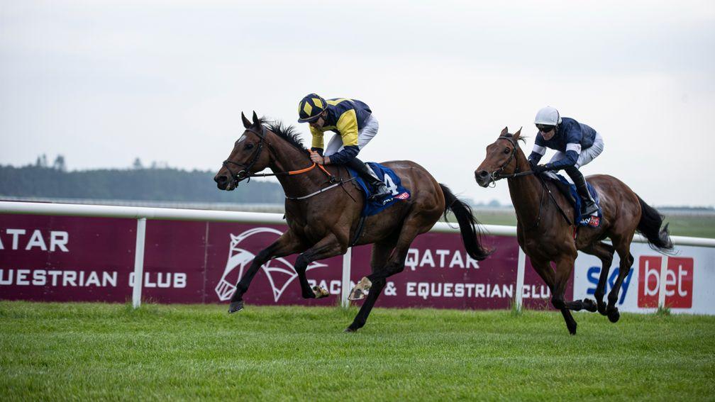 Shanroe: got the better of Melbourne Cup hopeful Pondus at the Curragh in June