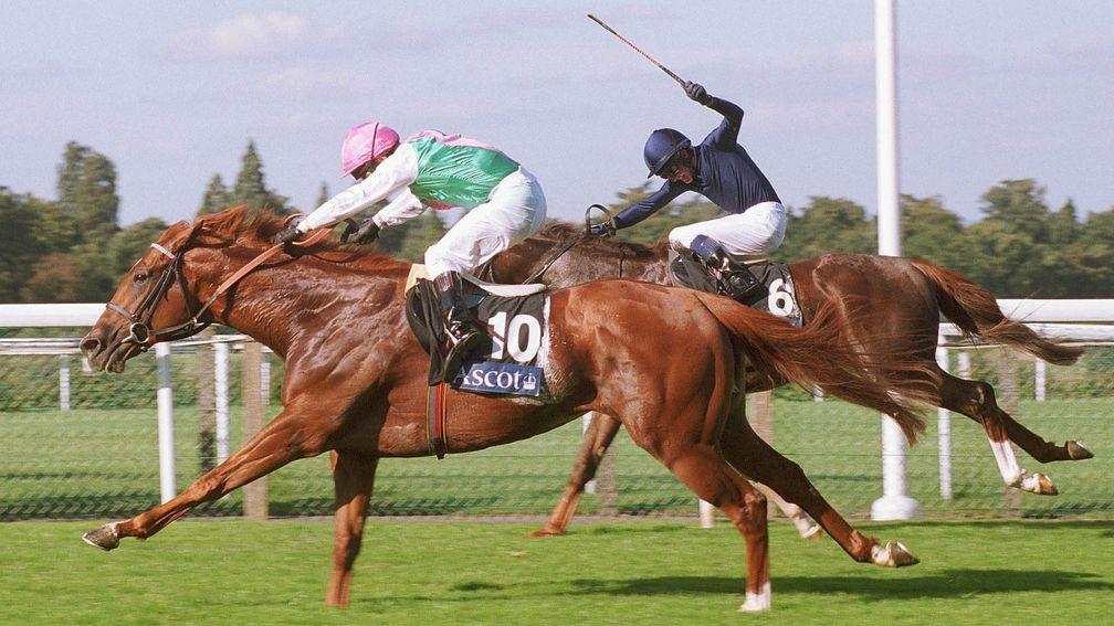 Observatory (10) denies Giant's Causeway in a thrilling finish to the QEII at Ascot in 2000