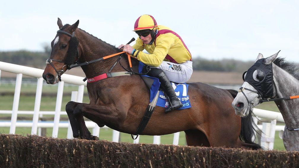 FFreewheelin Dylan: the Irish Grand National winner also has the option of running at Aintree