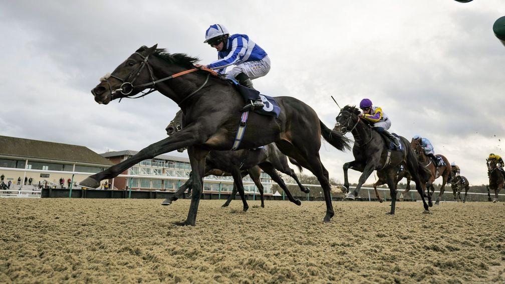 Possible Man: a winner at Lingfield and part of a double for Ryan Moore