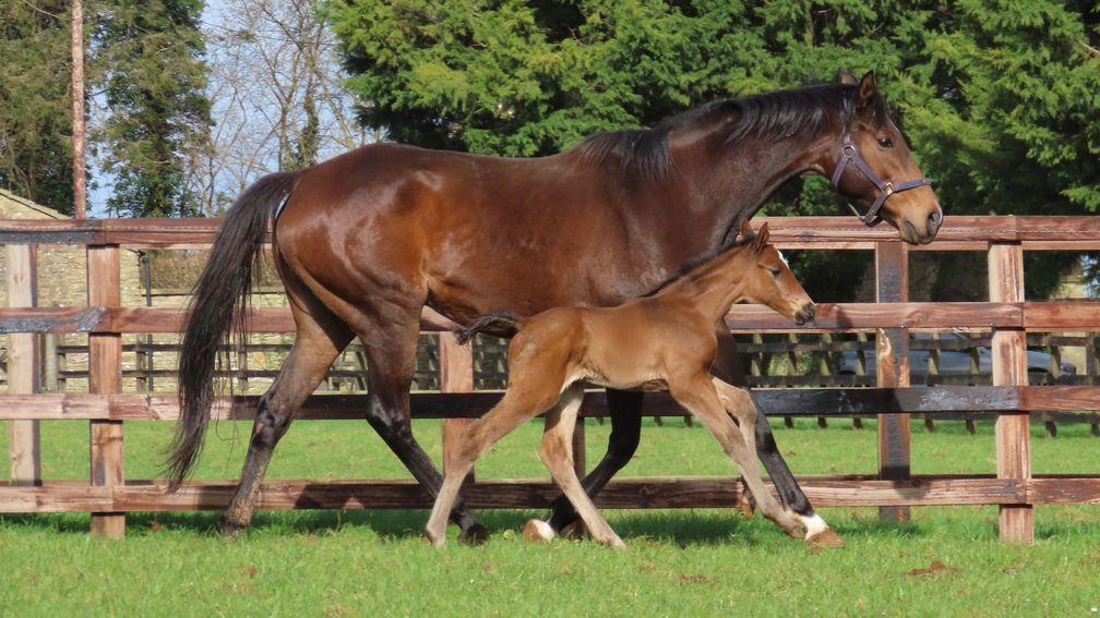 Byerley Stud's Sea The Moon filly out of a half-sister to multiple black-type performer Empress Wu