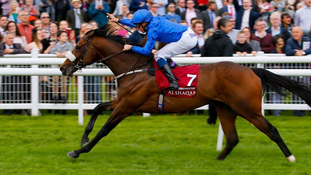 Ribchester: might not face much competition at a mile