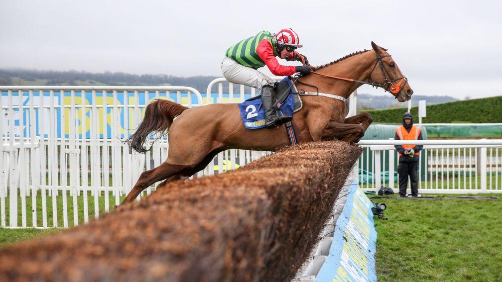 Definitly Red: smart chaser heads for the Gold Cup next