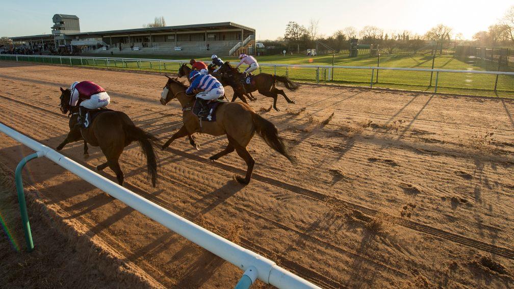Runners in the 5f handicap won by The Big Lad (farside) race into the final half a  furlongSouthwell 5.1.17 Pic: Edward Whitaker