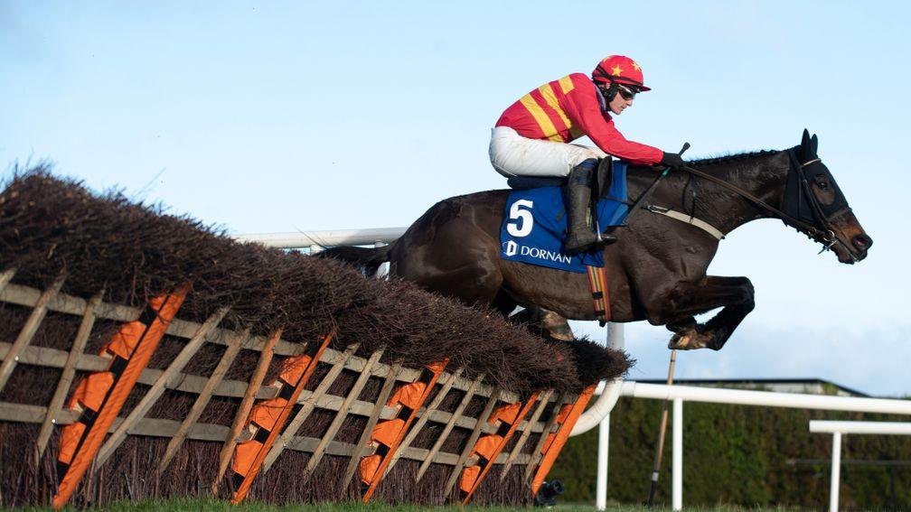 Klassical Dream: the Christmas Hurdle winner stole the race at the start at Leopardstown