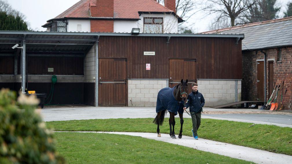 Aintree's racecourse stables