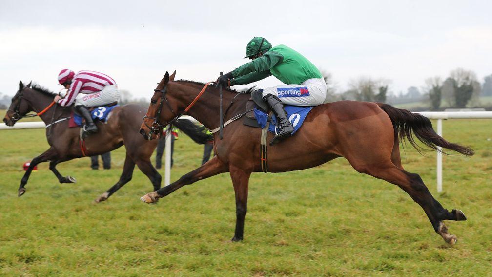 Fan De Blues: won the feature novice chase at Galway on Thursday
