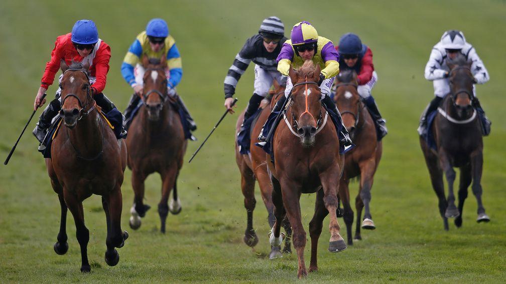 Brando and Tom Eaves (yellow and purple, centre) impress in Newmarket's  Abernant Stakes