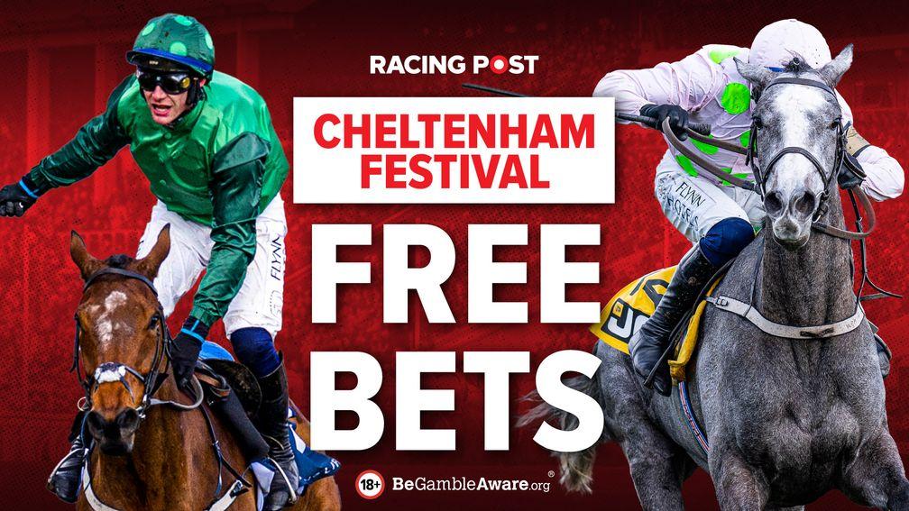 Best Cheltenham Festival Free Bets