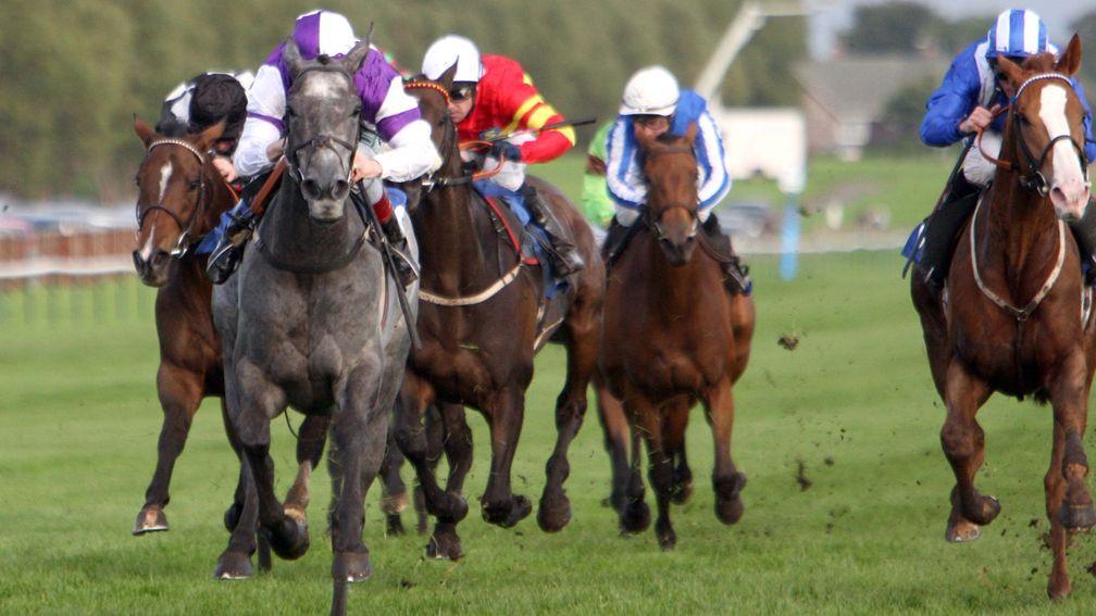 Lady Deauville: in winning form at Ayr in 2008