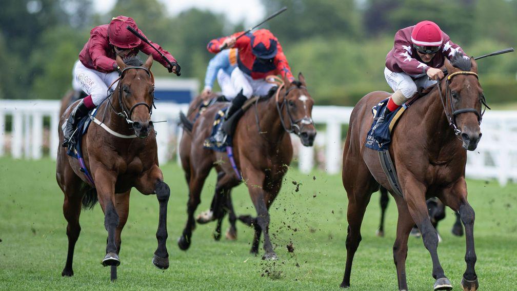 The Lir Jet and Oisin Murphy (left) come to collar Golden Pal on the line in the Norfolk Stakes at Royal Ascot