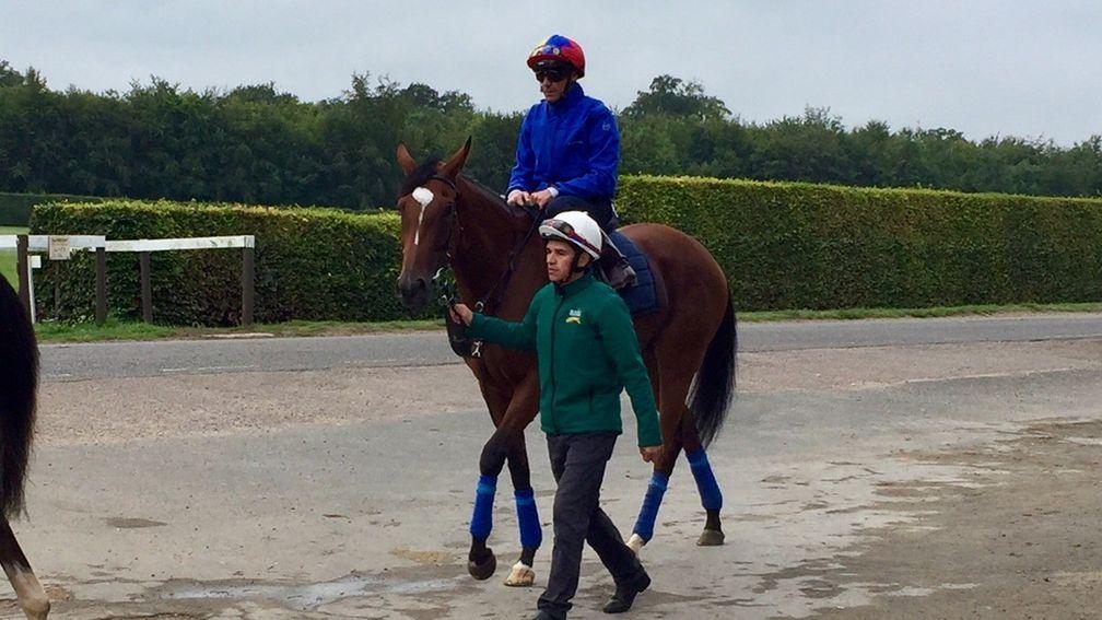 Enable and Frankie Dettori head to the Al Bahathri Polytrack this morning