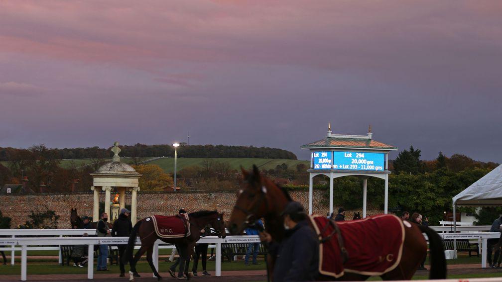 The December Sales at Tattersalls faces further disruption