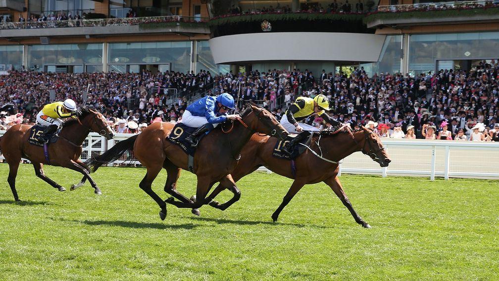 La Pelosa (blue) pictured finishing second to Main Edition in the Albany Stakes at Royal Ascot