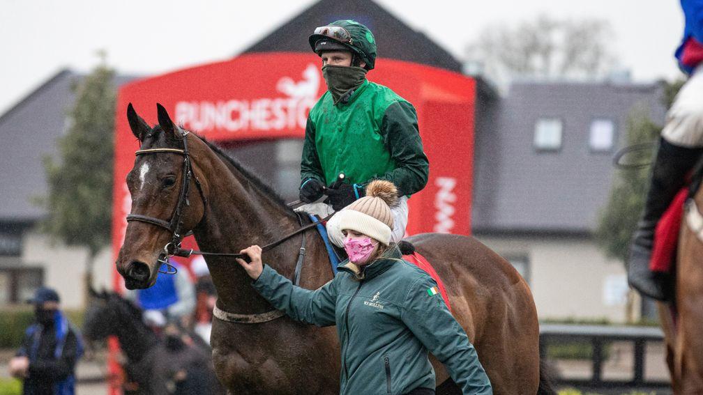 Blue Lord: bids to maintain his unbeaten record over fences in the Irish Arkle