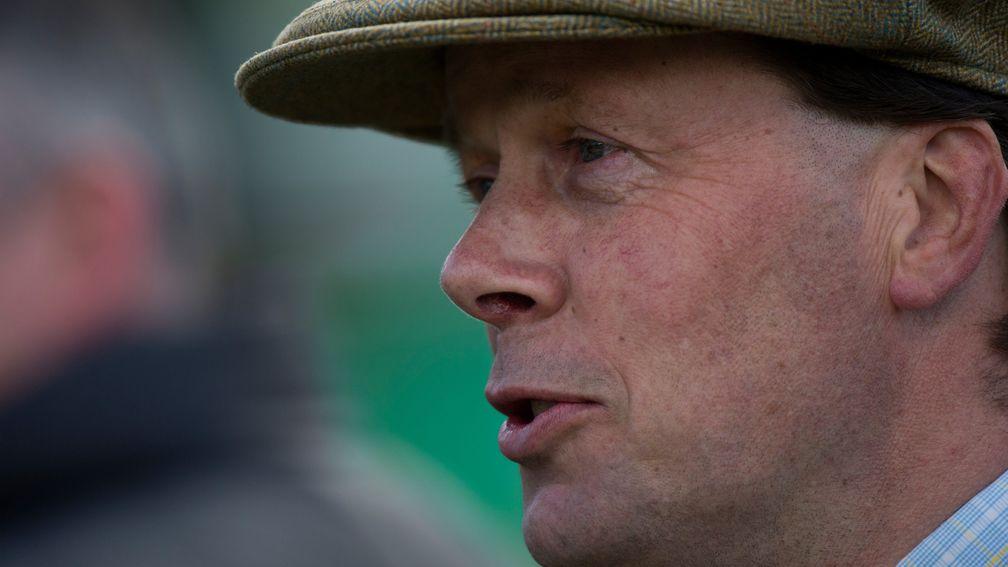 Trainer Henry Daly is one of the horsemen who will serve on the Whip Consultation Steering Group