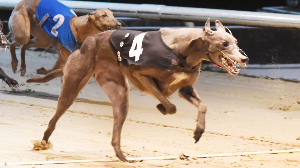 Greyhound racing will receive £1m in emergency funding from the government