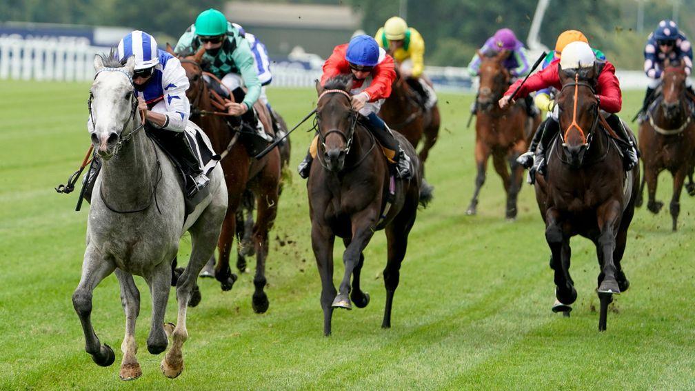 Dark Shift leads them home on his debut at Ascot last year
