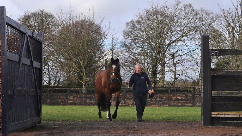 Galileo: now entering the evening of his career but still breaking new ground