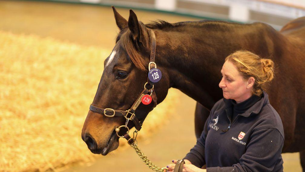Queenhope: well-related daughter of Kendargent sells to Hugo Merry for 120,000gns