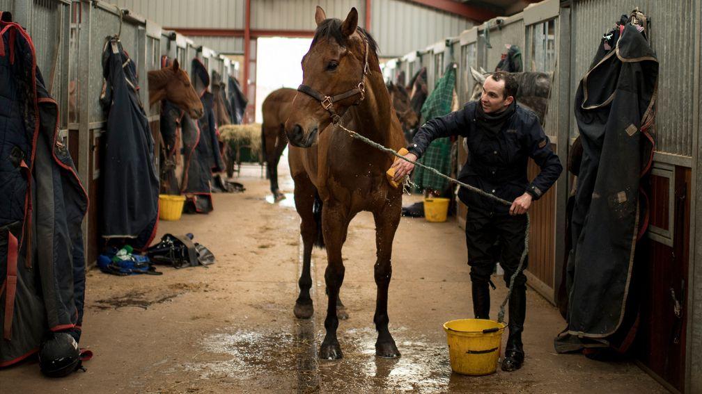 Liam Treadwell washes down a horse at the Aramstone, Herefordshire, stables of Venetia Williams in 2018
