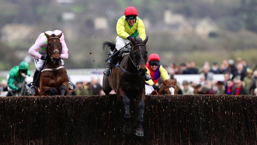CHELTENHAM, ENGLAND - MARCH 17:  Sizing John is steered to victory by Robbie Power in the Timico Cheltenham Gold Cup Chase during Gold Cup Day on day four of the Cheltenham Festival at Cheltenham Racecourse on March 17, 2017 in Cheltenham, England.  (Phot