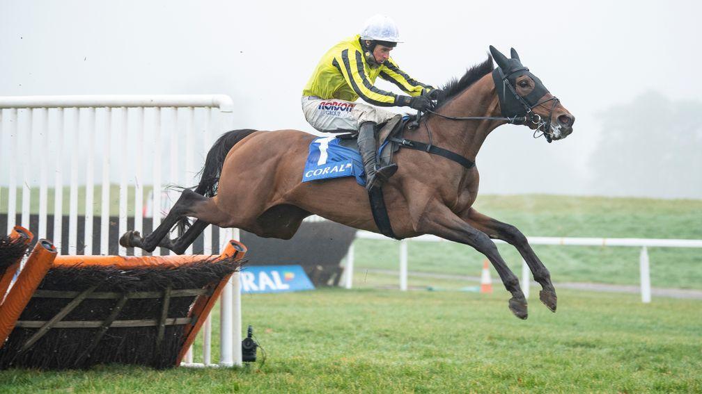 Allmankind: contests a quality Henry VIII Novices' Chase