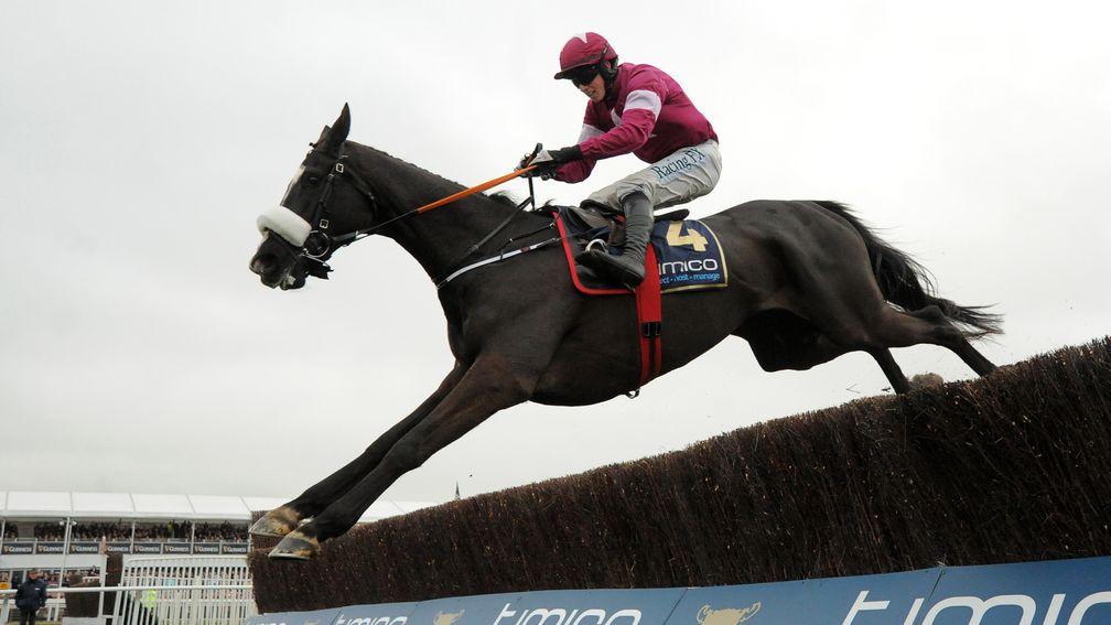 Don Cossack: the Gold cup hero was identified by Eddie Hales in a Punchestown bumper