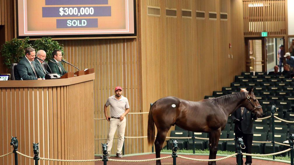 Hip 3147 defied expectations for a horse in Book 5