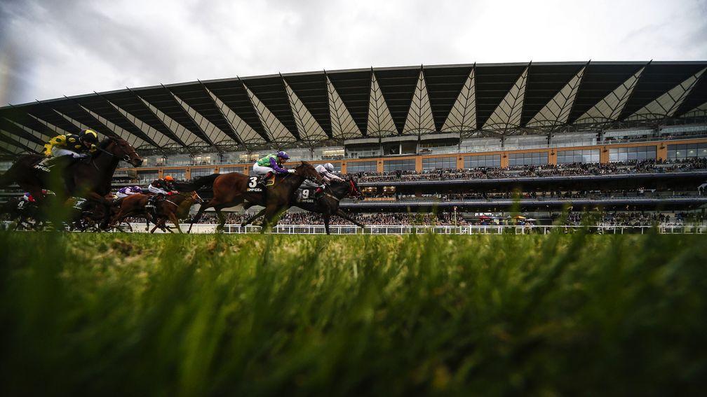 Ascot: final fields for Saturday are due on Thursday morning