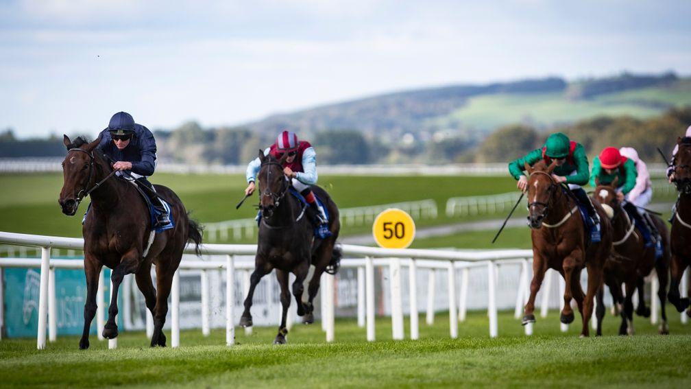 Santa Barbara: Camelot filly created an excellent impression when winning at the Curragh