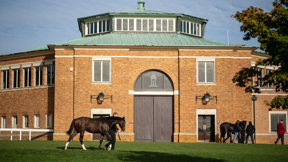 Tattersalls: hosts the three-day Book 2 of the October Yearling Sale