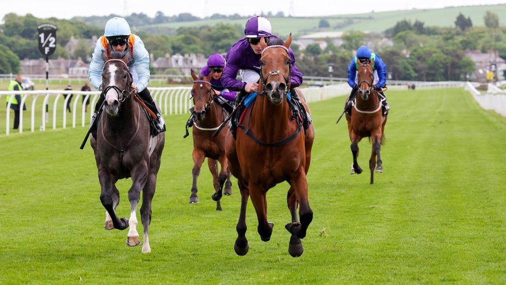 Remarkable Force (purple silks): made all to win in Scotland