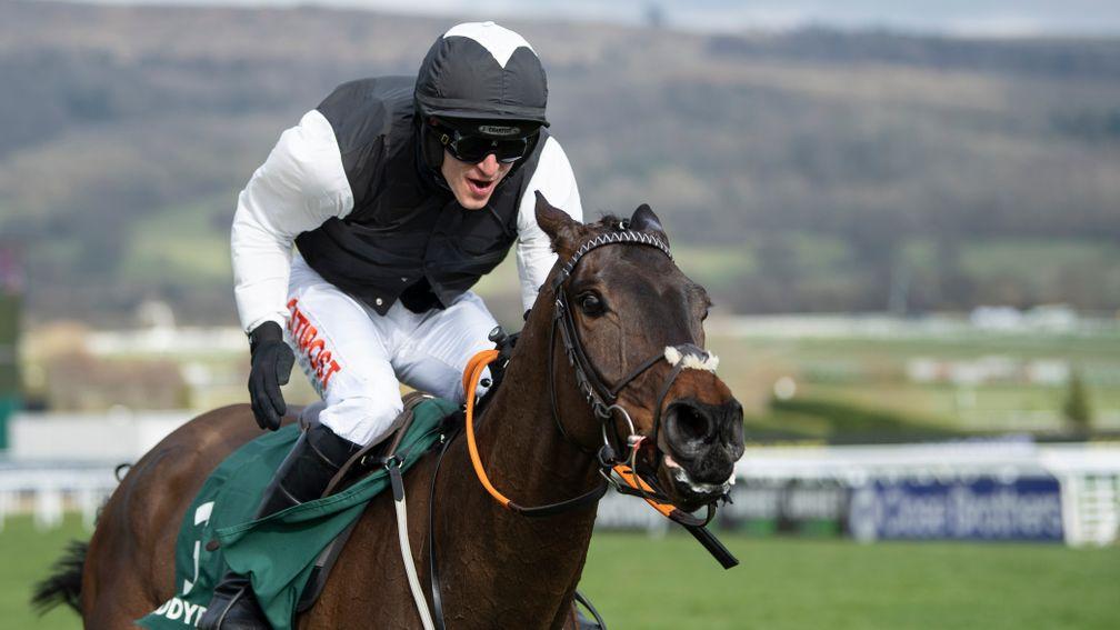 Flooring Porter storms to victory in the Stayers' Hurdle at Cheltenham