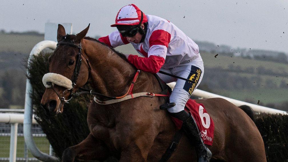 The Big Dog: a general 12-1 chance for the BoyleSports Irish Grand National