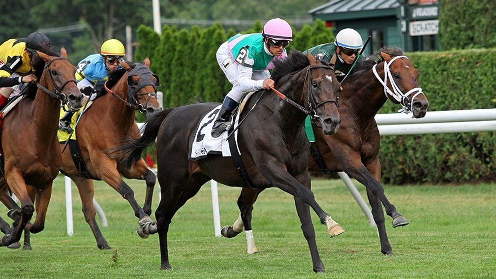 Flintshire (pink cap): the five-time top-level winner stood his first season at Hill 'n' Dale in 2017